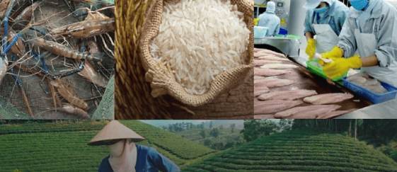 越南胡志明市国际农业展览会:即将举行