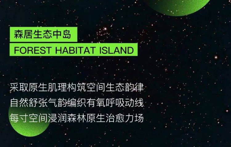 INDEX DUBAI 2025| 地球森林人体工学黑科技引航迪拜,对话未来之城