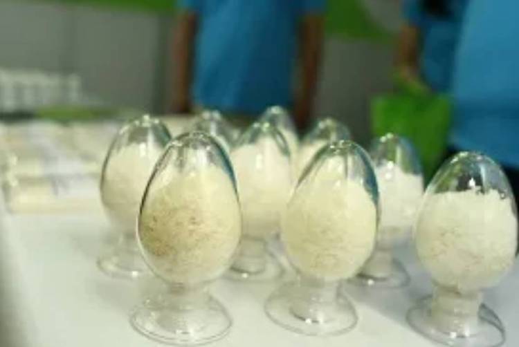 49届摩洛哥卡萨布兰卡染化展2025:不容错过的专业商务盛会