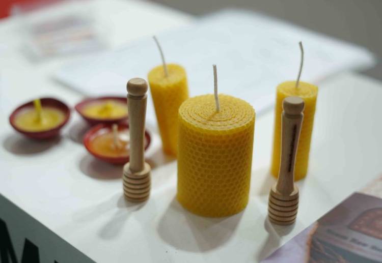 生物有机农业国际展会顺利进行中——印度诺伊达站Biofach India 2025