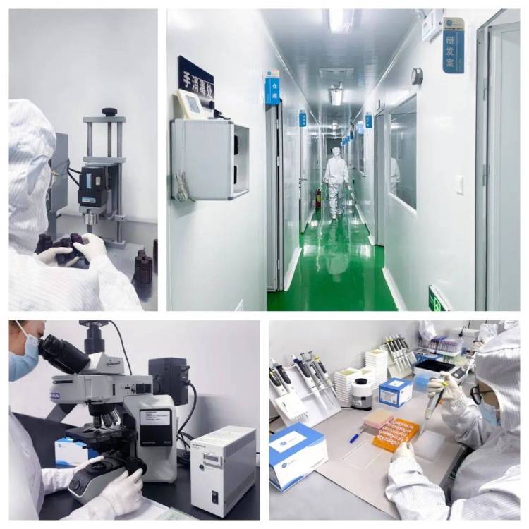 展会回顾 | 美国临床实验医学博览会ADLM 2025展会收官,全球舞台共绘科研新篇章