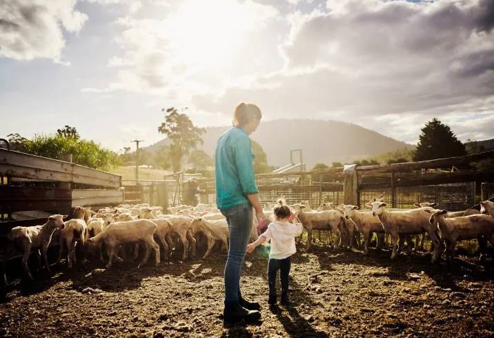 未来农业展:墨尔本推动农业创新与可持续发展