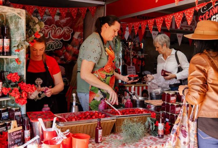 南非博塔维尔国际农业机械和产品展览会 NAMPO 2025:全球农业与本地智慧交汇的年度盛典