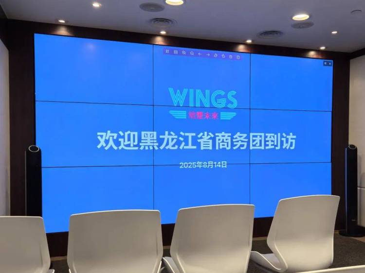 企业动态丨农投食品集团携“黑土优品”亮相2025年香港美食展