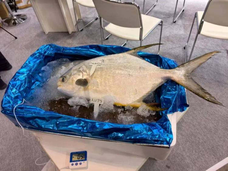 中国水产国家展团亮相2025年第27届日本国际水产品与技术展览会