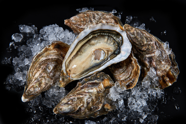 【海旻食品】八月与您相约2025年越南海鲜渔业展~