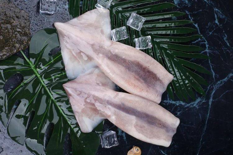 【海旻食品】八月与您相约2025年越南海鲜渔业展~