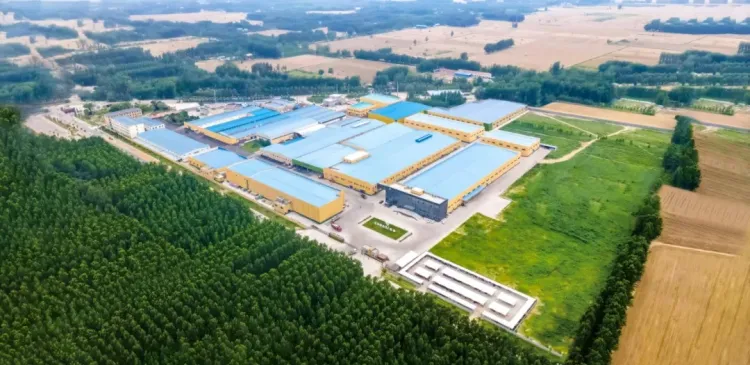 步履不停|开创食品耀动亚洲世界食品博览会THAIFEX 2025