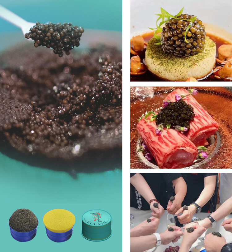 上饶鲟鳇科技诚邀全球伙伴共赴2025年越南渔业盛会,B502展位不见不散!