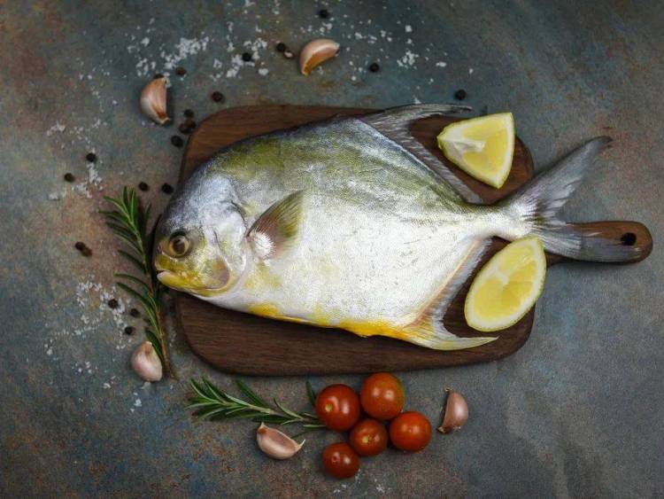 【海旻食品】八月与您相约2025年越南海鲜渔业展~