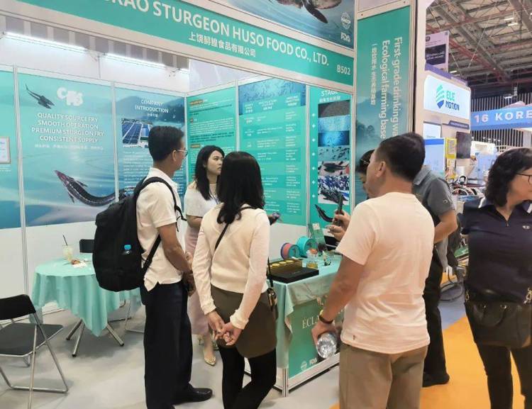 深入越南鲟鱼市场,鲟鳇科技亚洲布局再落一子 | 2025年越南渔业展纪实