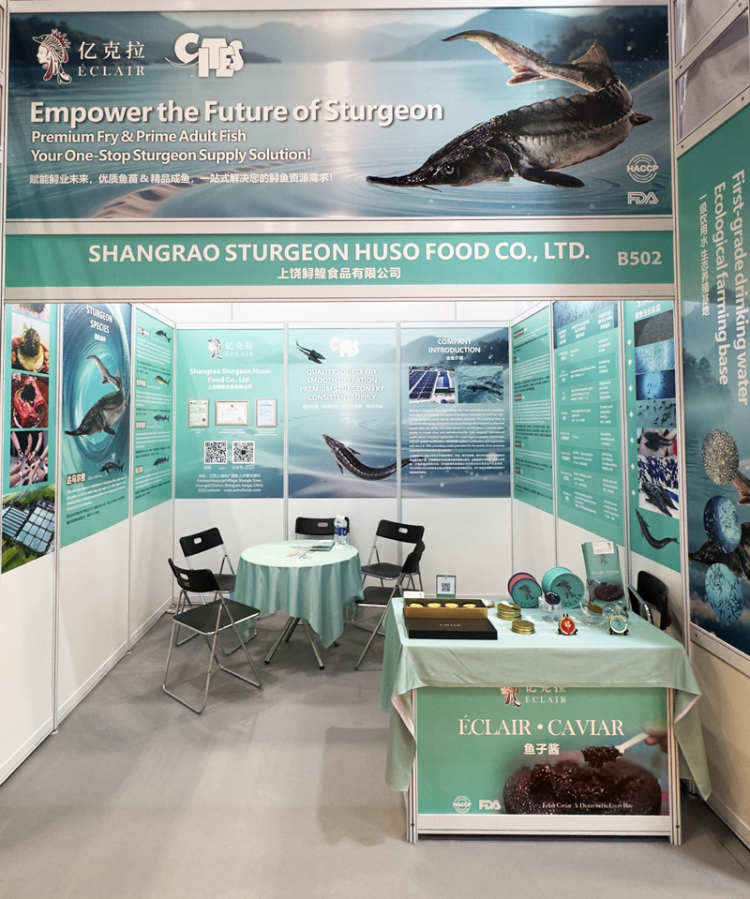 深入越南鲟鱼市场,鲟鳇科技亚洲布局再落一子 | 2025年越南渔业展纪实