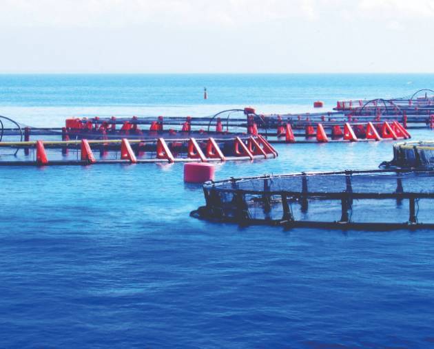 意大利波代诺内国际水产养殖展览会 AquaFarm 2026即将举行