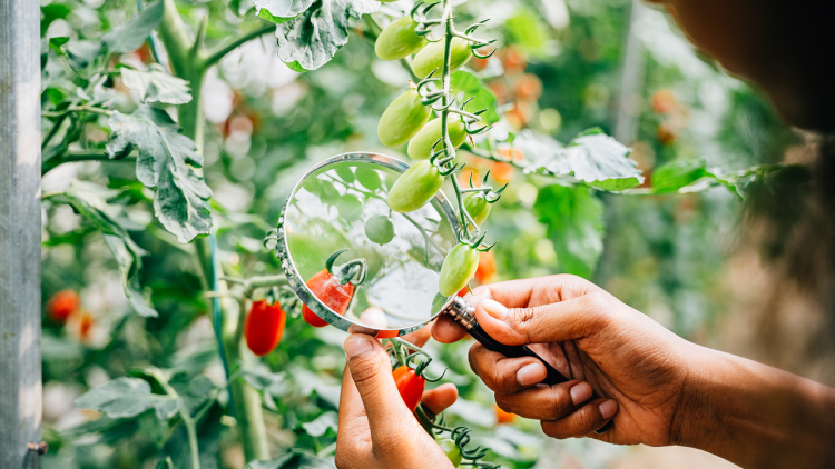 法国巴黎国际健康产品原料展览会:年轻消费者在健康老龄化中的角色