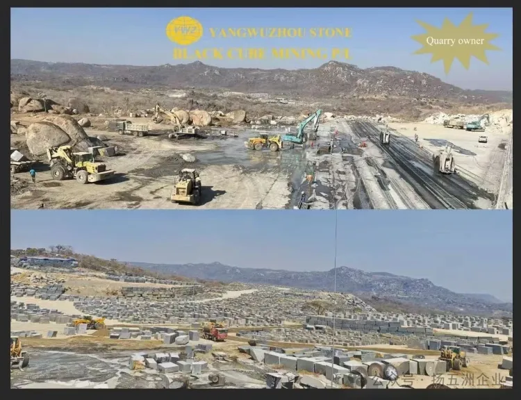 扬五洲参加2025年意大利维罗纳国际石材展