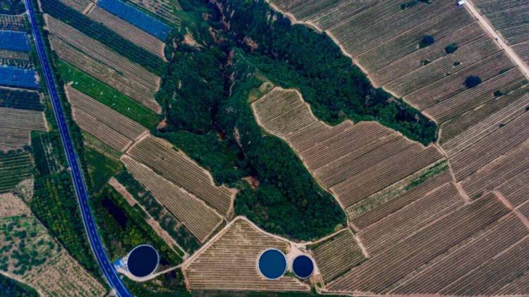 戎子酒庄闪耀2025年德国 ANUGA 国际食品及饮料展,7 款佳酿香飘莱茵河畔