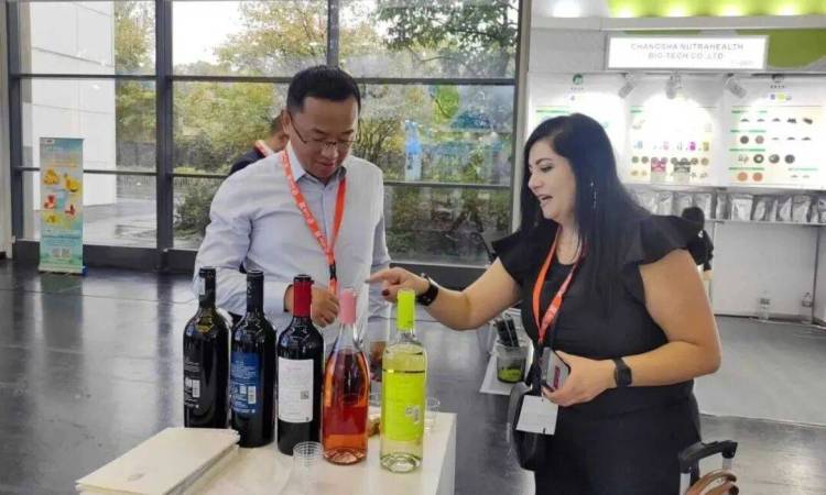 戎子酒庄闪耀2025年德国 ANUGA 国际食品及饮料展,7 款佳酿香飘莱茵河畔