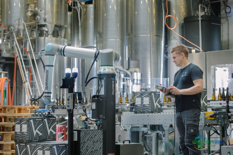 与协作机器人同事相处融洽吗?