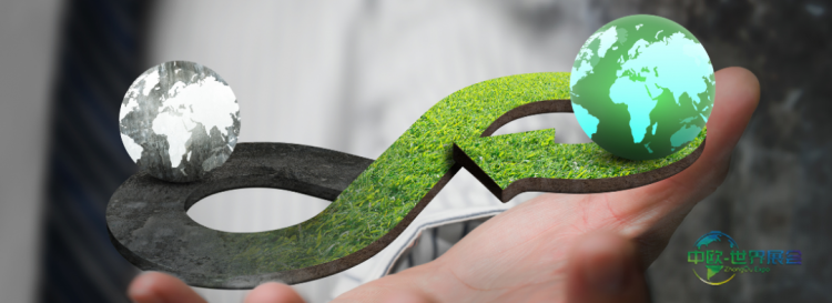 实现清洁与卫生产品可持续包装:塑造循环未来的关键要素