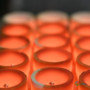 瑞士精炼集团收购甘农斯科特公司