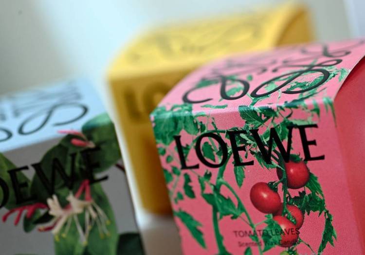 2025法国巴黎国际包装展:天然香料的演变