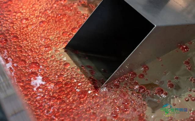 德国斯图加特国际工业零部件清洗技术展览会:Mecanolav - RIDEL SAS展示最新解决方案