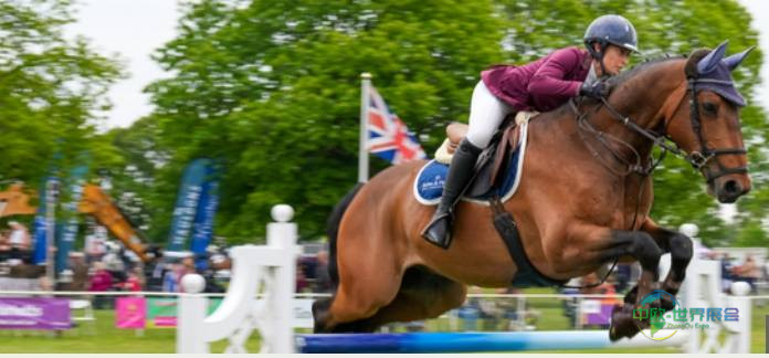 2026年萨福克国际农产品展,体验奢华包厢享受