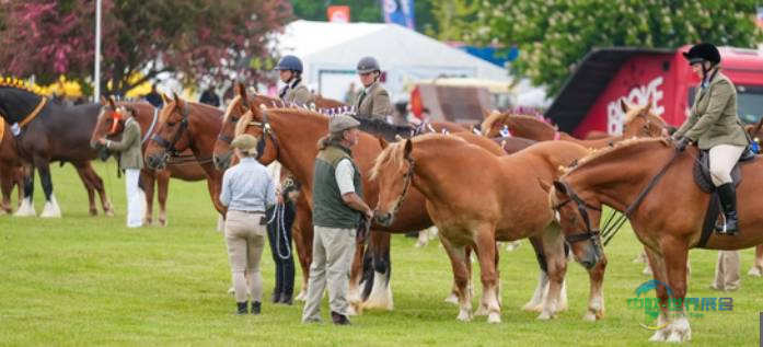2026年萨福克国际农产品展,体验奢华包厢享受