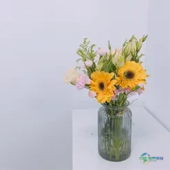 裕华纺织与您相约在法国----2025法国巴黎Texworld面料展