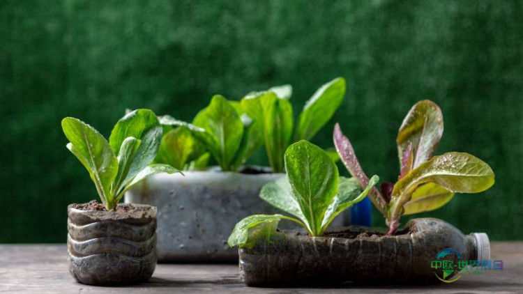 德国科隆国际食品及饮料展览会:Ecotrophelia Europe 2025创新食品与可持续发展相遇