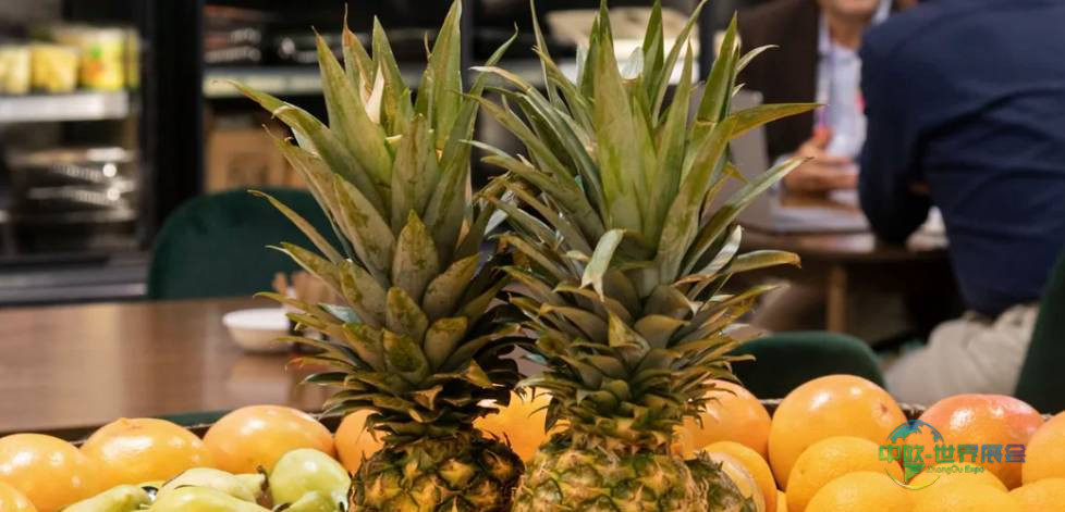 2025年西班牙马德里国际果蔬展览会:巩固国际领先地位