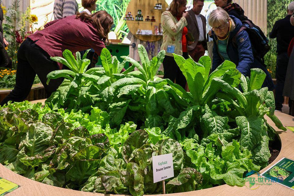 2026年德国柏林国际绿色周展览会:农业科技从牧场到未来拖拉机