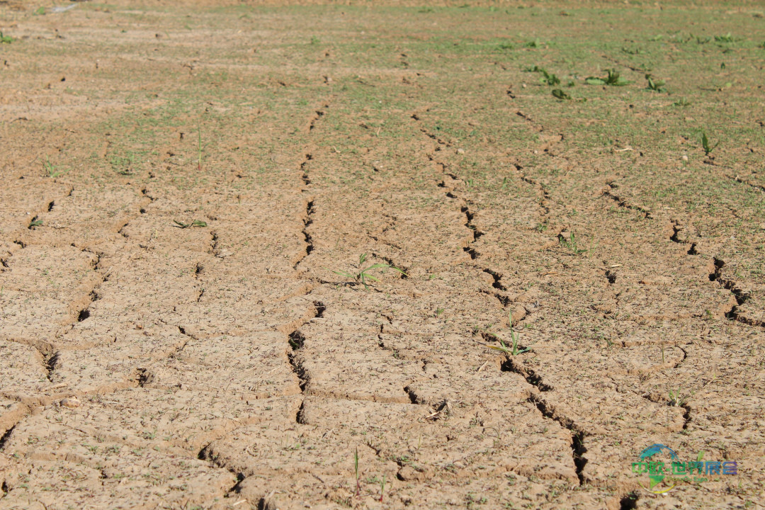 AQD-uk-desalination-pexels-rol-estrell-700x394px