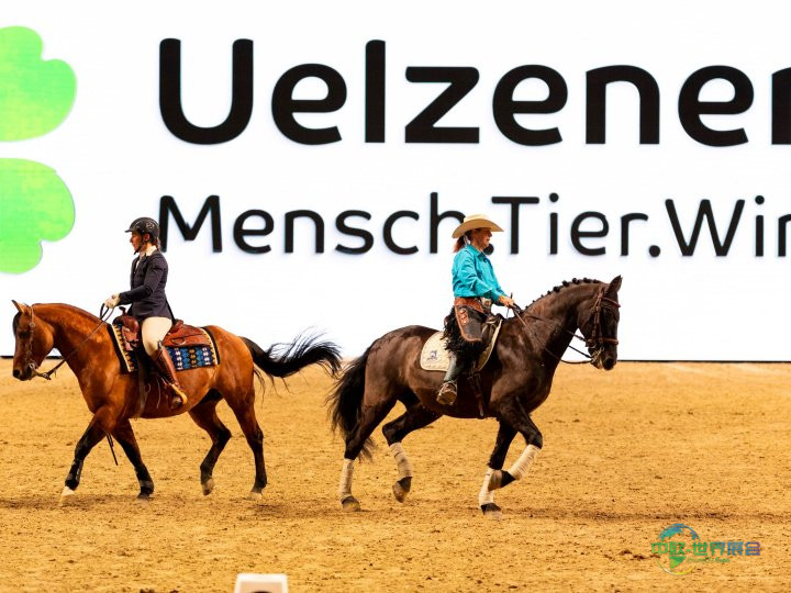 EQUITANA杯赛结果