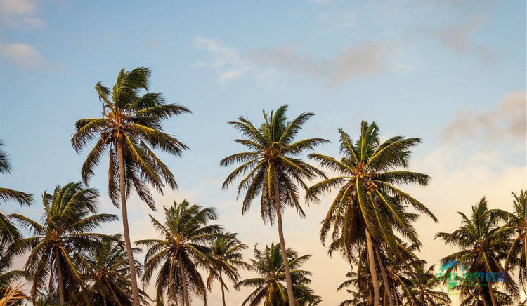 2026年秋季巴拿马城海滩礼品展:海岸零售商采购盛会