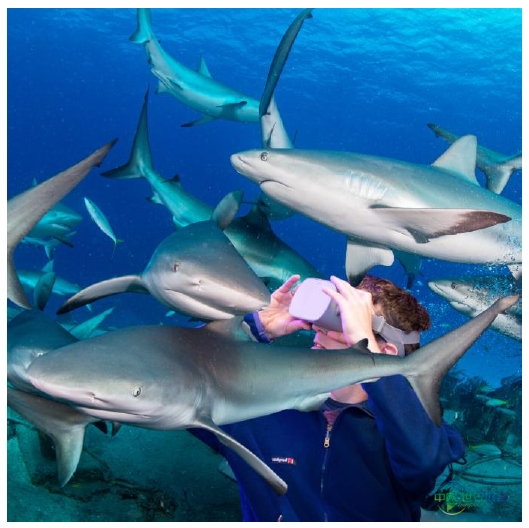 2026巴黎国际海洋沙龙展览会:探索海洋深处的神秘