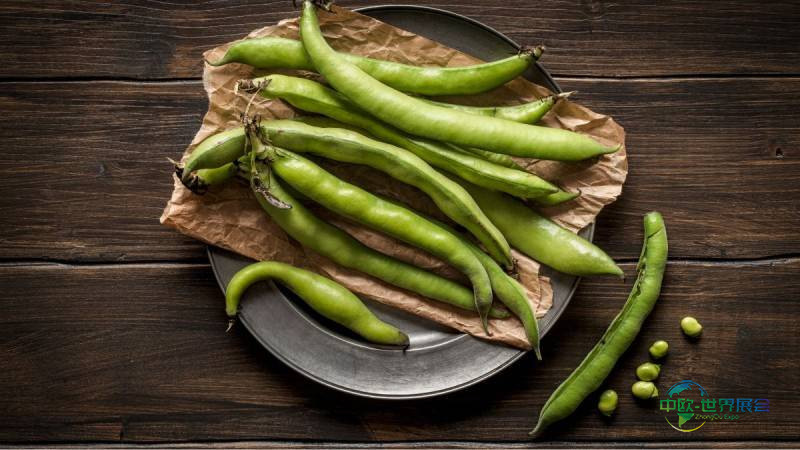 2027年德国科隆国际食品及饮料展览会:探索未来食品趋势