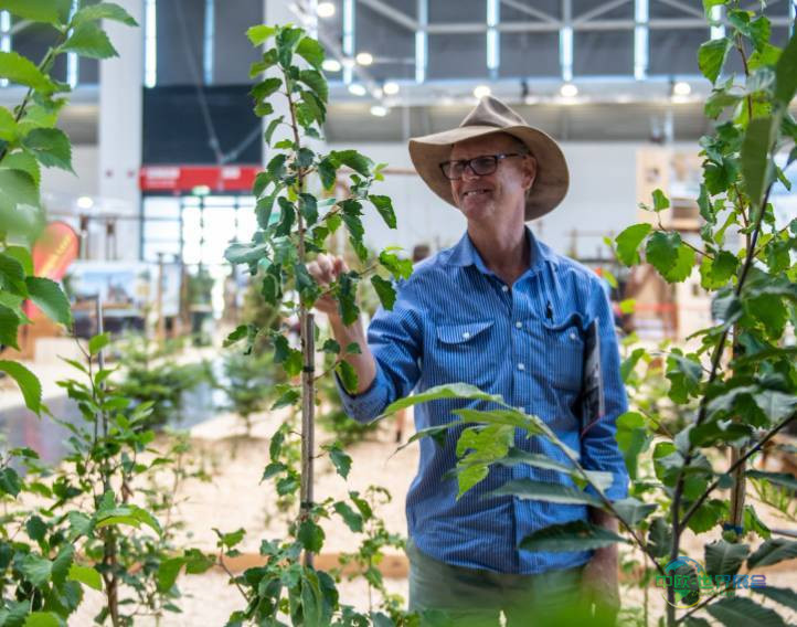 2026年德国慕尼黑国际木业工业技术展览会预告来袭