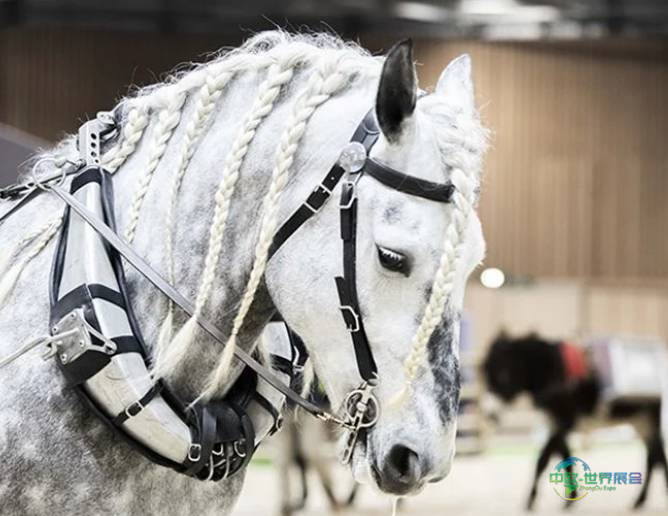 2026年法国巴黎国际农牧业展览会:科特迪瓦成为焦点