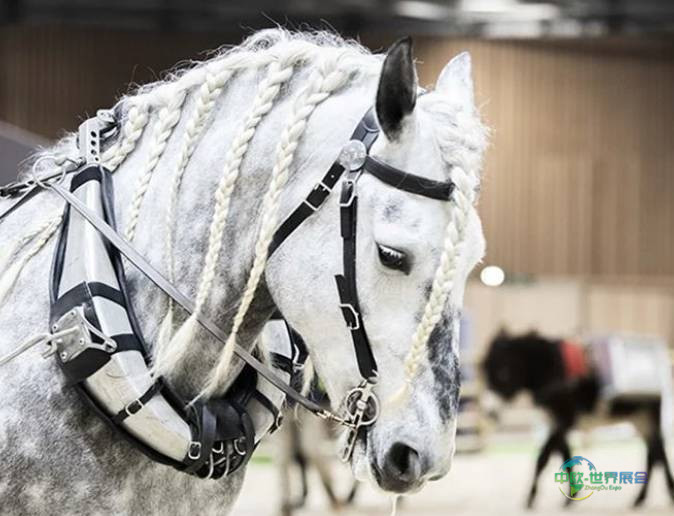 2026年法国巴黎国际农牧业展览会精彩回顾