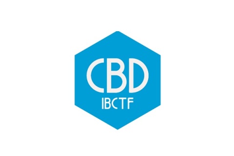 上海建材展-上海建博会CBD FAIR展会现场图片