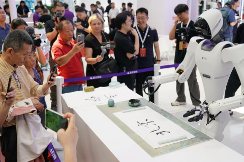 北京世界机器人大会WRC展会现场图片