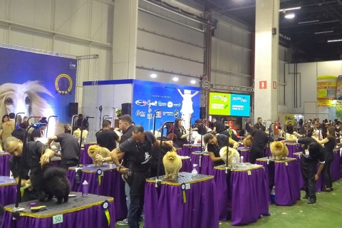 巴西圣保罗宠物用品展览会展会现场图片