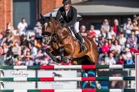 澳洲澳大利亚墨尔本马术马具展览会展会现场图片