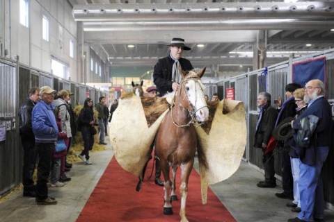 意大利维罗纳马术马具展览会展会现场图片
