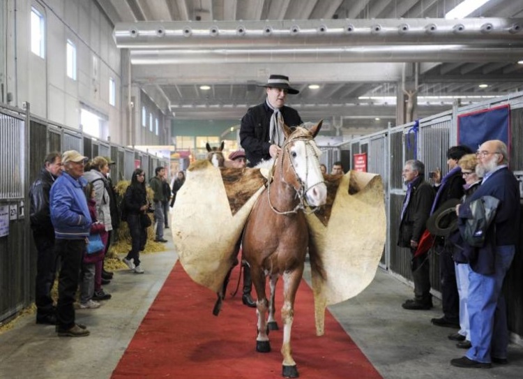 意大利维罗纳马术马具展览会