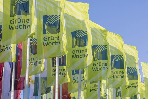 德国柏林农业及农产品展-柏林国际绿色周展会现场图片