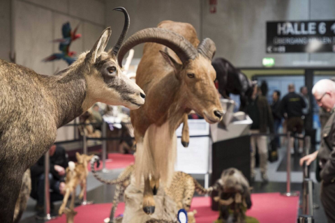 奥地利狩猎、户外用品、枪械、钓具展览会展会现场图片