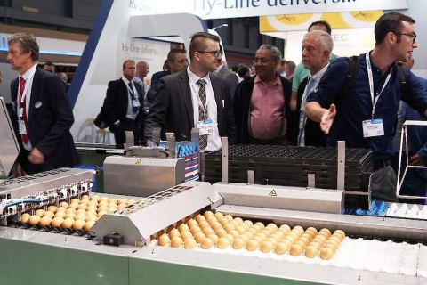 荷兰畜牧业展览会展会现场图片