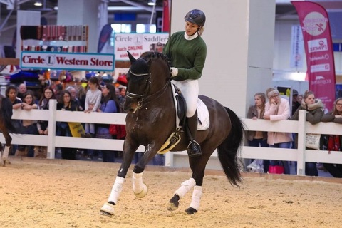 德国汉诺威马术、狩猎、枪械展览会展会现场图片